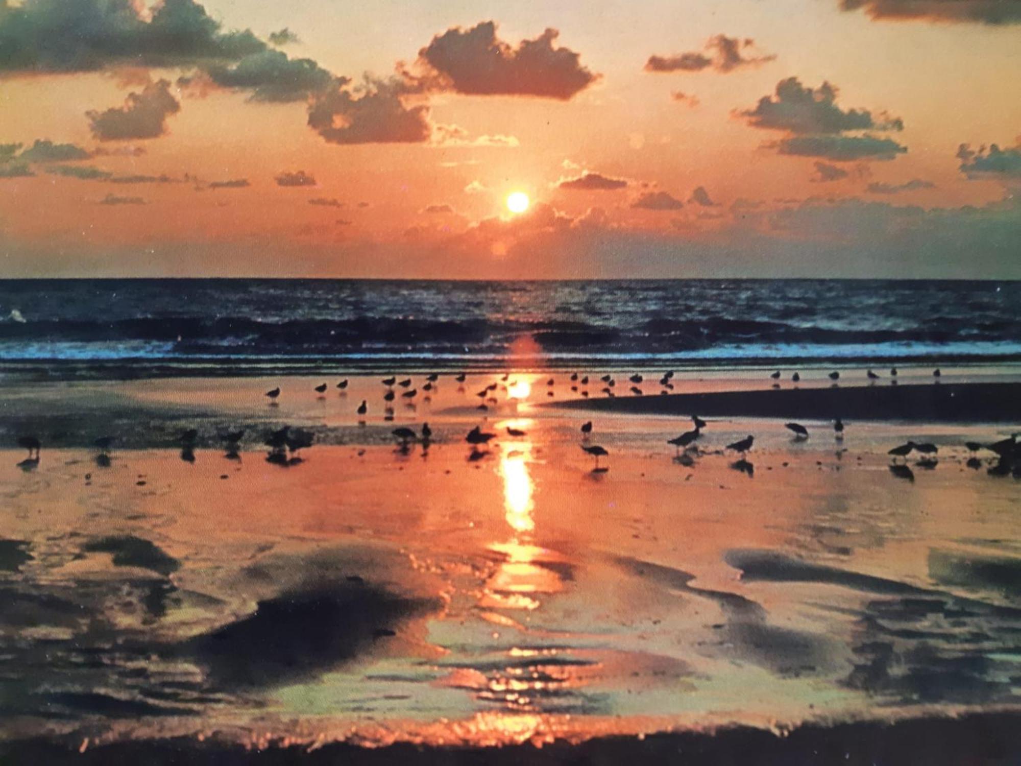 Niebüll Nordseeferienhaus-Alma מראה חיצוני תמונה